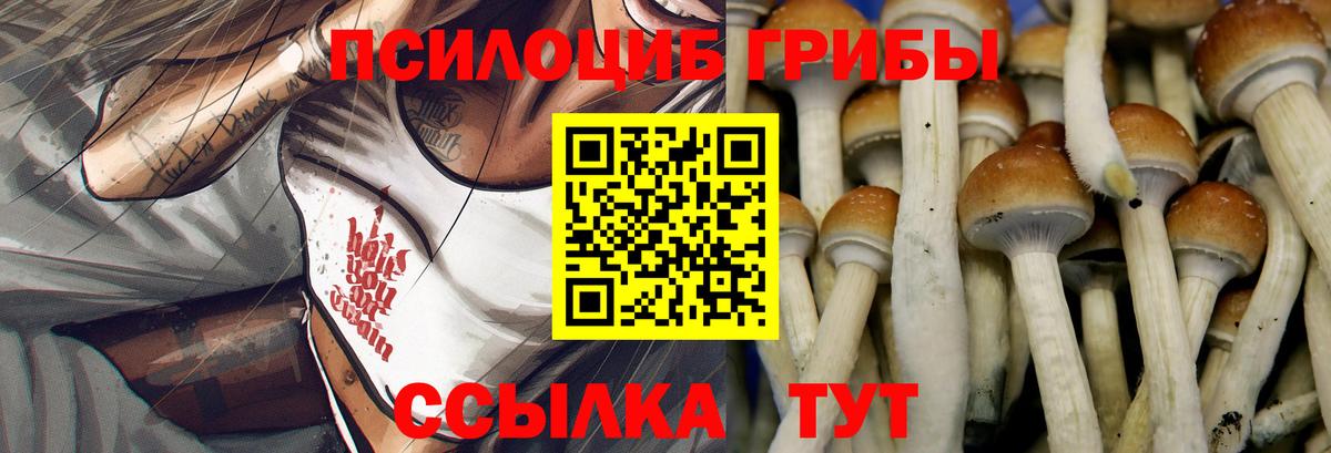 Галлюциногенные грибы ЛСД  Вход с VPN  Вологда 